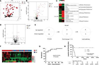 Altered lipid metabolites accelerate early dysfunction of T cells in HIV-infected rapid progressors by impairing mitochondrial function